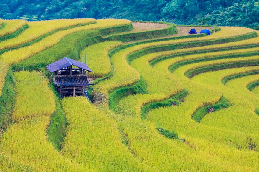 Ruộng bậc thang Hoàng Su Phì được Bộ Văn hóa, Thể thao và Du lịch chính thức cấp bằng công nhận Di tích Quốc gia vào năm 2012.