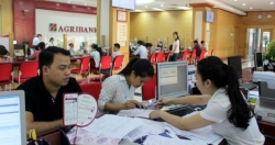 Agribank: Nộp thuế điện tử và thông quan 24/7 qua cổng thông tin điện tử hải quan