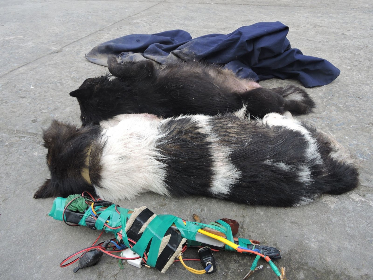 Hải Phòng: Bị đánh tử vong khi vào làng trộm chó