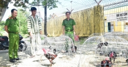 Thừa Thiên Huế: Nhiều tang vật được thu giữ tại sới bạc đá gà