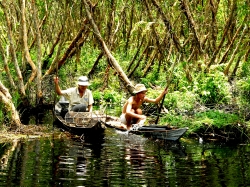 Về với Cà Mau, nơi “Ngón chân cái chưa khô bùn vạn dặm”