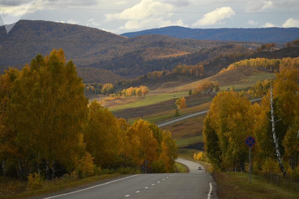 Lá cây chuyển màu vàng tạo nên cảnh sắc mùa thu tuyệt đẹp ở Krasnoyarsk Krai, một trong những khu vực rộng lớn nhất nước Nga. Nơi đây có phong cảnh thiên nhiên tuyệt đẹp với những hồ nước, ngọn núi và cánh rừng bất tận. (Nguồn ảnh: Sputnik)