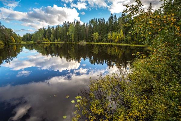 Lá cây chuyển màu vàng xung quanh hồ nước trong xanh tạo nên khung cảnh mùa thu đẹp nao lòng ở nước Nga