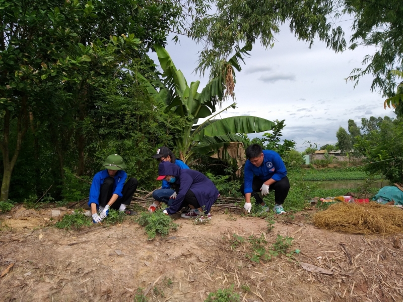 Với việc thu gom rơm rạ làm phân hữu cơ không chỉ giảm ô nhiễm môi trường mà còn tăng kinh tế cho người nông dân