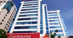 Agribank xếp hạng thứ 156/500 ngân hàng lớn nhất Châu Á về quy mô tài sản