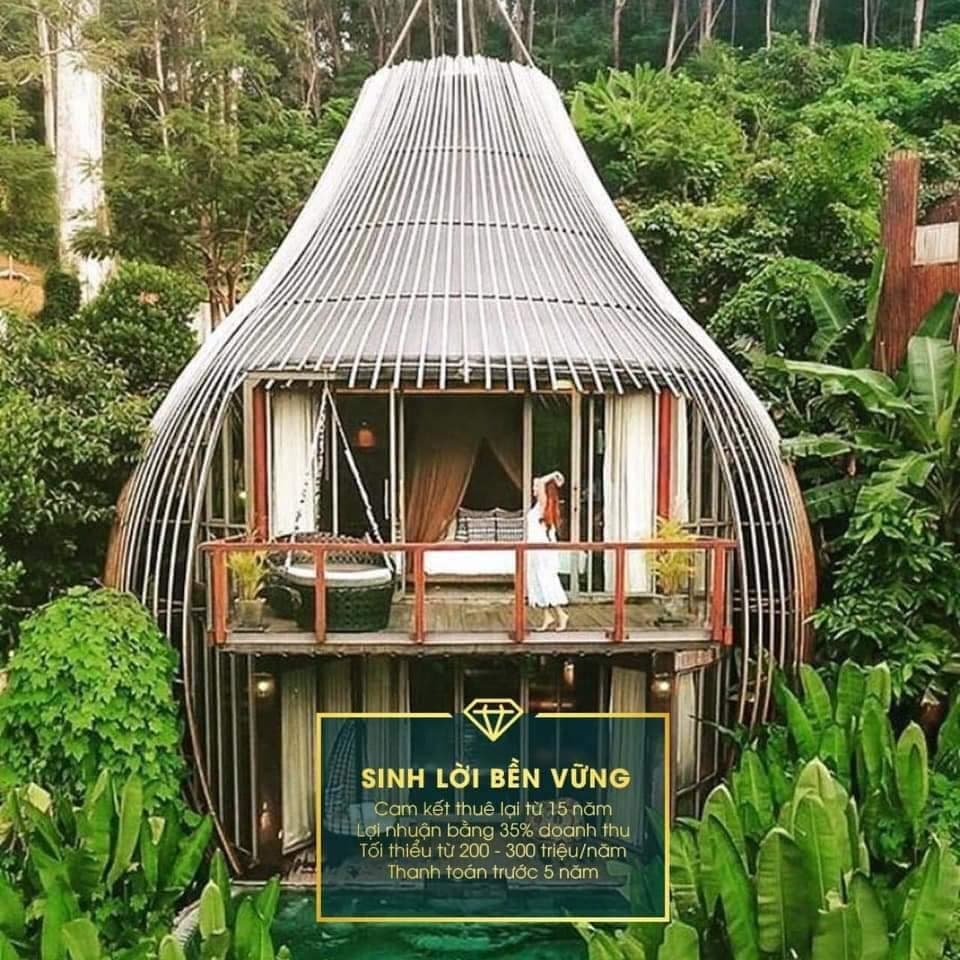 UBND huyện Kỳ Sơn xác định không có dự án nào là Sakana Spa &amp; Resort Hòa Bình được triển khai tại hồ Dụ