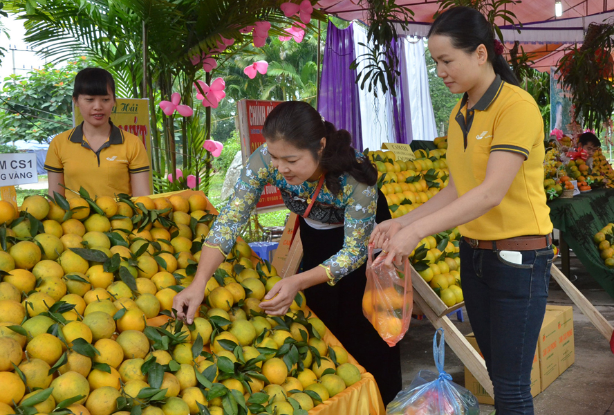 Những năm qua, Hà Nội đã phát huy vai trò cầu nối tích cực trong việc kết nối tiêu thụ nông sản đặc sản các vùng miền trên khắp cả nước tới người tiêu dùng Thủ đô