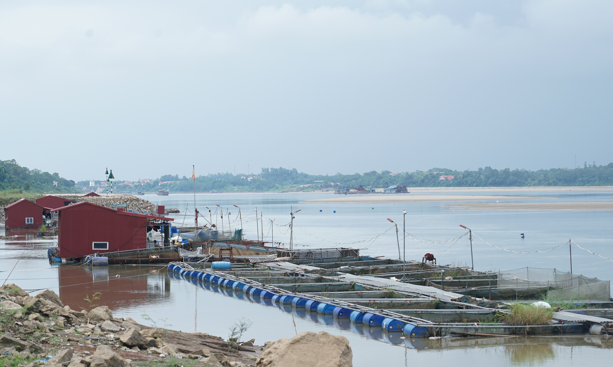 Phú Thọ: Sông Đà cạn nước, người dân nuôi cá lồng lâm cảnh nợ nần