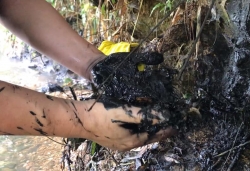 Hà Nội: Đề nghị điều tra làm rõ hành vi đổ trộm dầu thải gây ô nhiễm nguồn nước mặt sông Đà