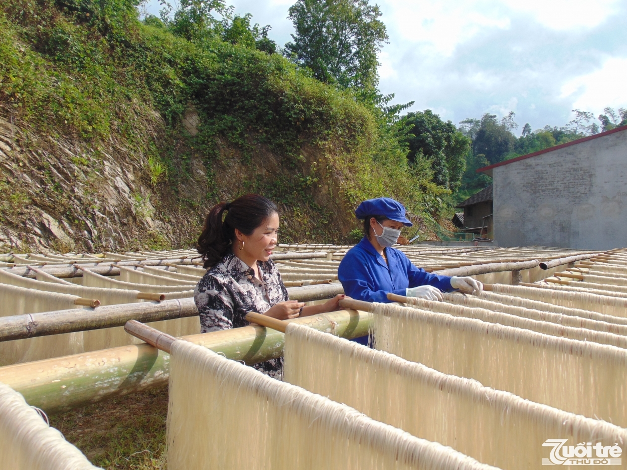 Hợp tác xã sản xuất miến dong Tài Hoan đang từng bước xây dựng và phát triển thương hiệu để đông đảo người tiêu dùng biết đến