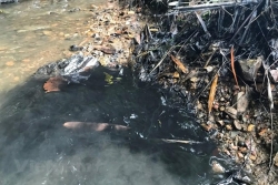Khởi tố vụ án đổ trộm dầu thải gây ô nhiễm nguồn nước sạch sông Đà