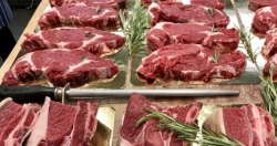Hà Nội: Tăng cường kiểm tra mặt hàng thịt trâu tại các bếp ăn tập thể