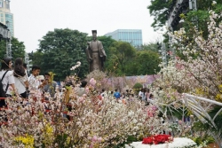 Lễ hội hoa anh đào Nhật Bản – Hà Nội sẽ diễn ra vào tháng 3/2020