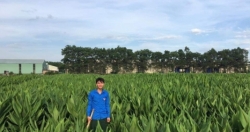 “Nhà nông”  Nguyễn Ngọc Hanh  thành công từ sản xuất tinh bột nghệ