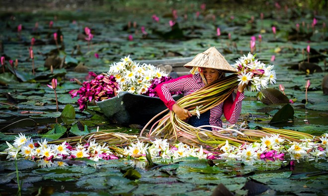 Đẹp sửng sốt với An Giang - mùa nước nổi