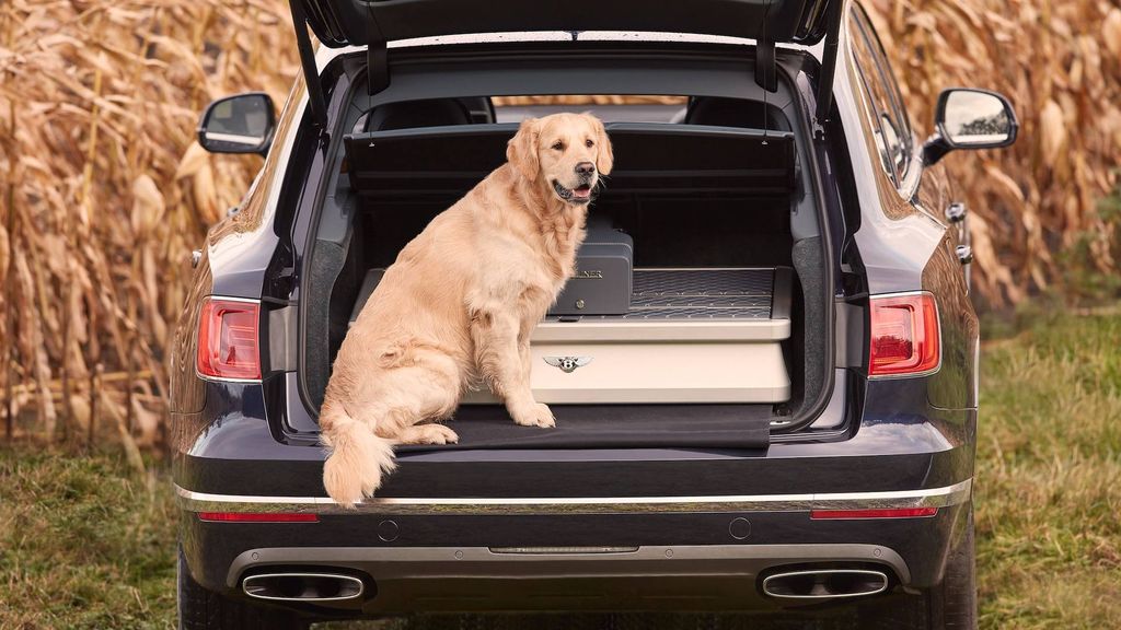 Bentley Bentayga Field Sports - phiên bản đặc biệt cho giới nhà giàu thích đi săn