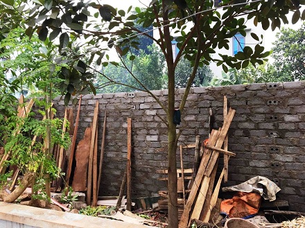 Bài 106: Ngang nhiên chiếm đất công, chính quyền không hay biết