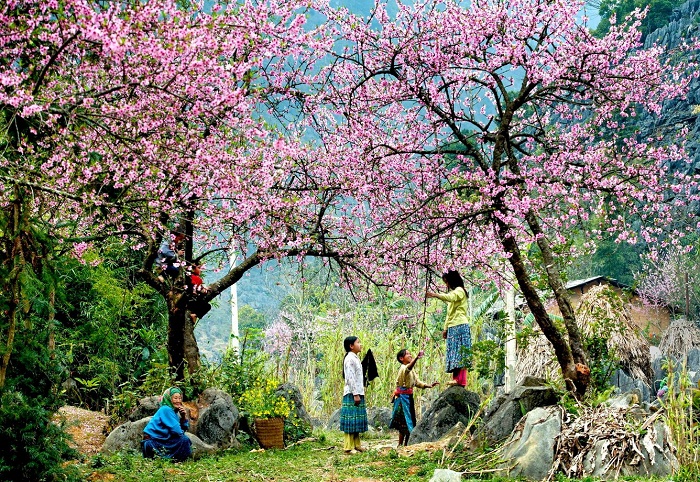 22 ngày tri ân vàng - Ngàn ưu đãi