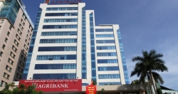 Agribank ước lãi trước thuế hơn 6.000 tỷ đồng 10 tháng đầu năm 2018