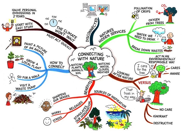 Sơ đồ Mindmap sẽ giúp ích rất nhiều cho bạn trong quá trình ôn thi