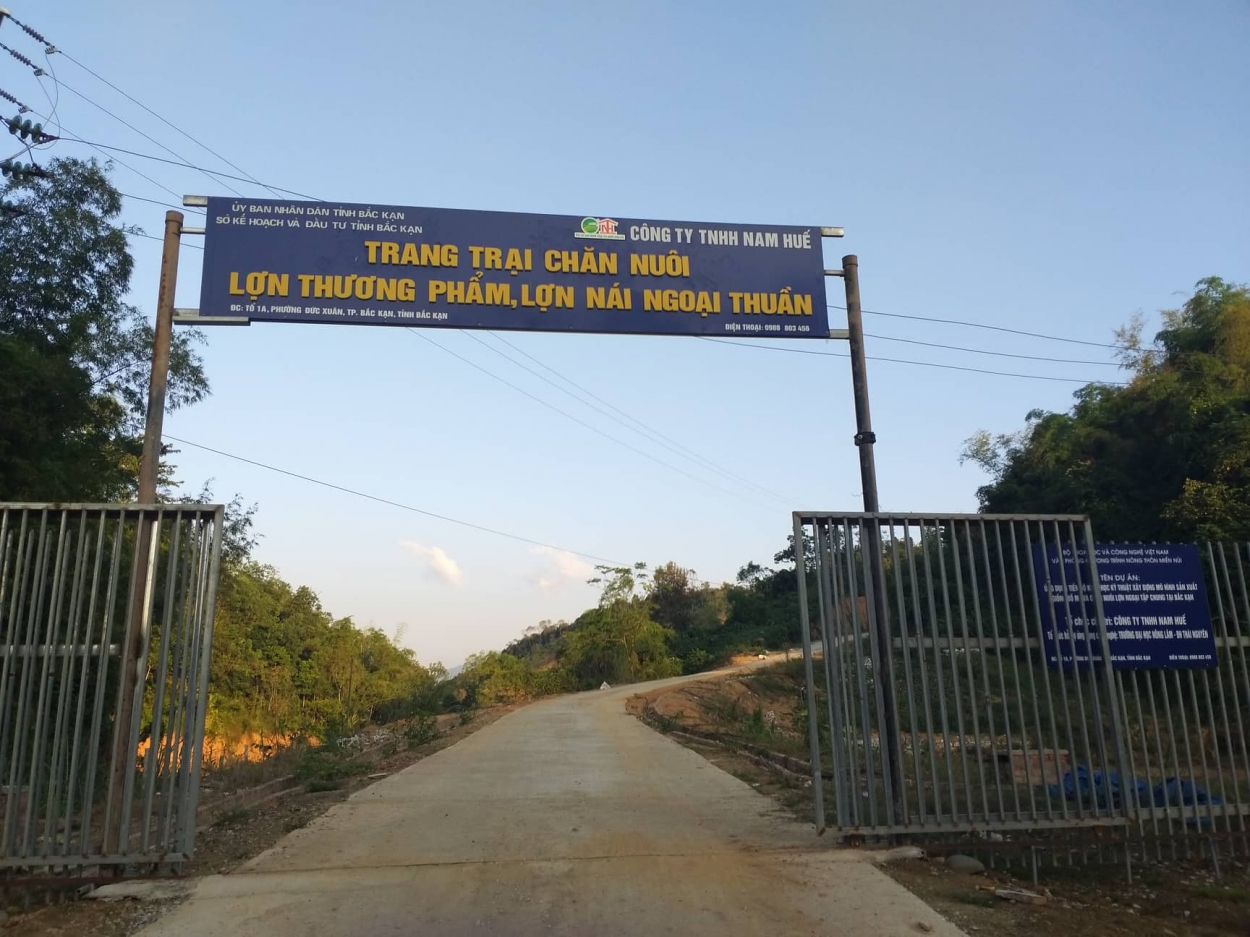 Lối vào trại chăn nuôi lợn của Cty TNHH Nam Huế, người dân cho biết ít ai có thể bước vào