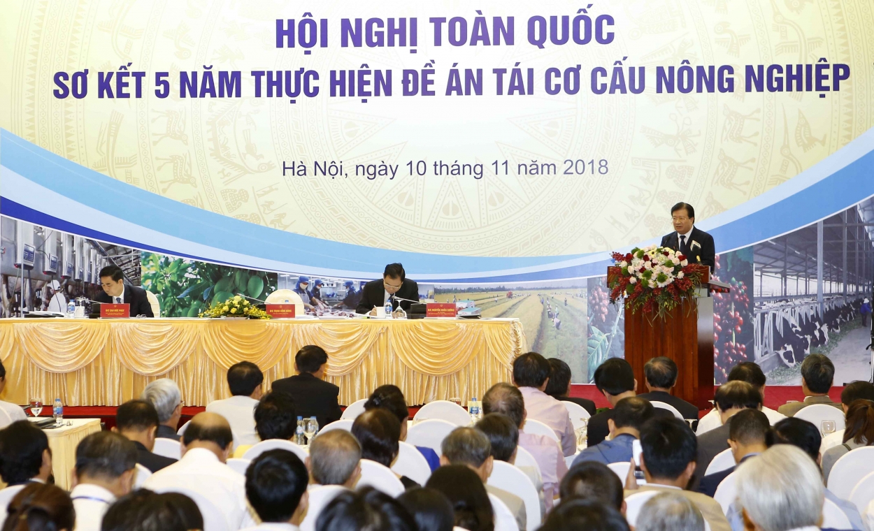 Phó Thủ tướng đặc biệt lưu ý cần tập trung thu hút doanh nghiệp, đẩy mạnh ứng dụng khoa học công nghệ tiến tiến để phát triển nông nghiệp