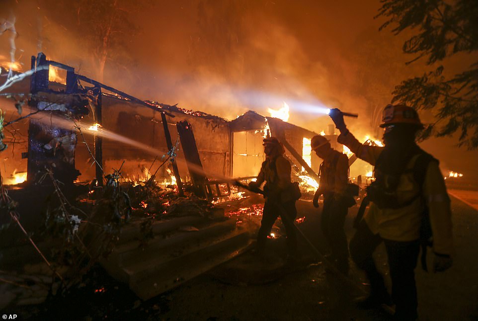 Thống đốc bang California Gavin Newsom đã tuyên bố tình trạng khẩn cấp để kịp thời trợ giúp cho các khu vực bị ảnh hưởng nặng nề. Theo Sở Lâm nghiệp và Phòng cháy chữa cháy California, có thể phải mất ba tuần để dập lửa hoàn toàn.