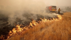 California (Mỹ) tan hoang vì cháy rừng