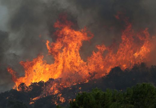 Mỹ:  Huy động tù nhân dập tắt cháy rừng tại bang California