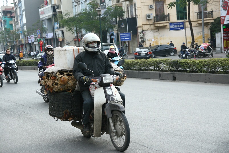 Quyết liệt ngăn chặn buôn lậu thực phẩm