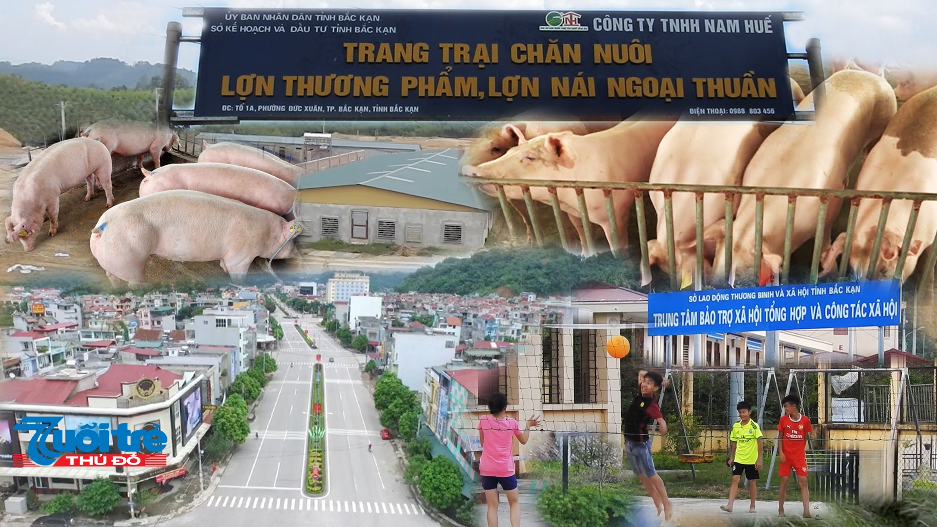 Trại chăn nuôi lợn trong lòng TP Bắc Kạn: Hàng trăm người dân không được tham vấn ý kiến!