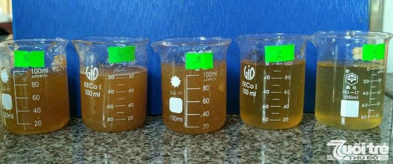 Gel từ cao rau má được bào chế theo 5 công thức thí nghiệm