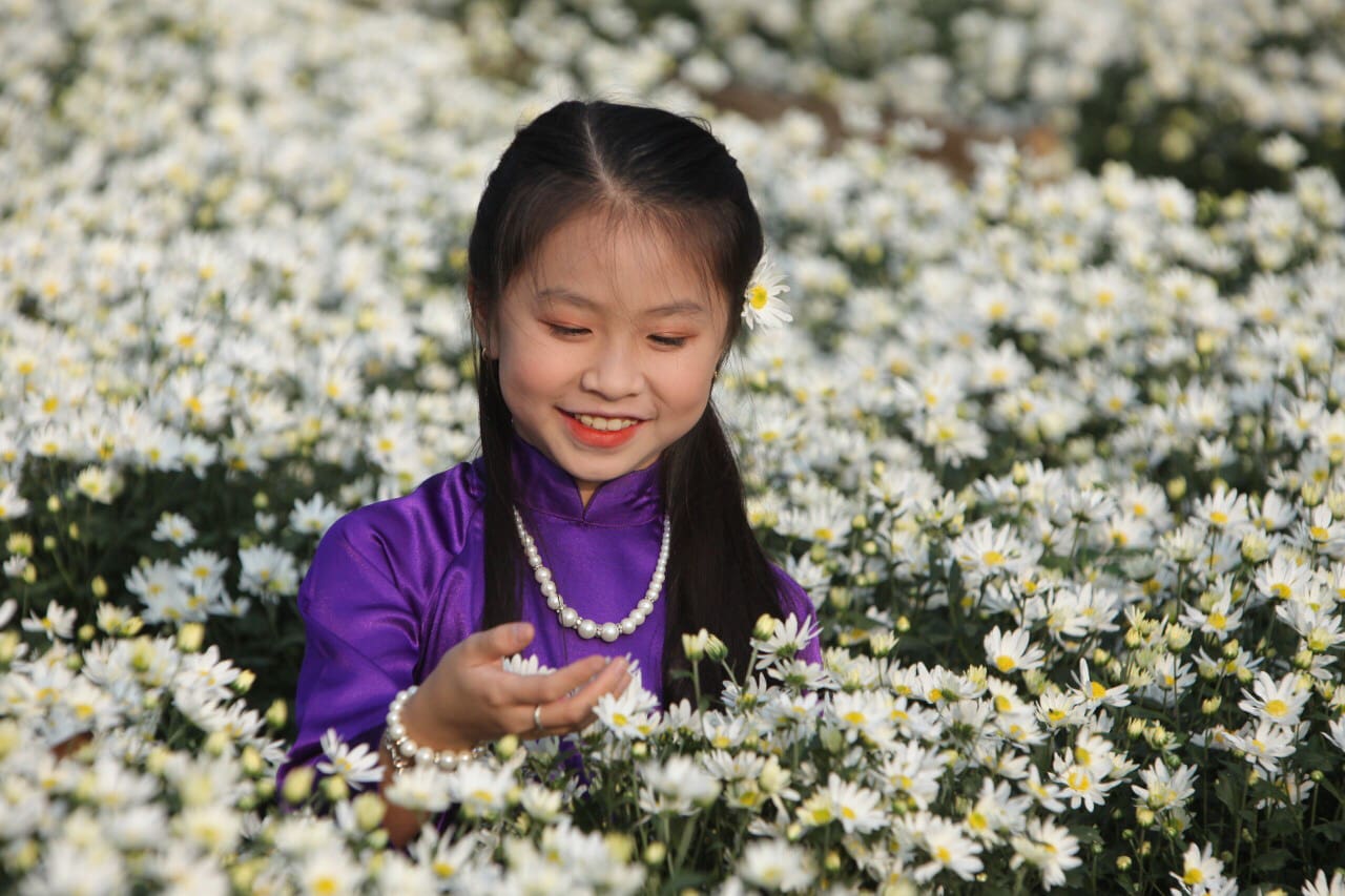 Hà Nội đẹp dịu dàng mùa hoa cúc họa mi