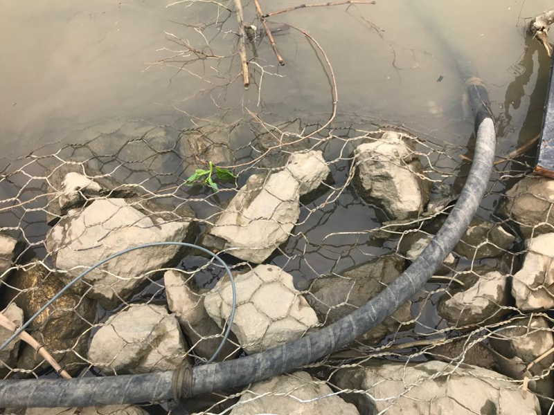 Hà Nội: Cơ quan chức năng vào cuộc điều tra thông tin xả thải ra sông Đuống
