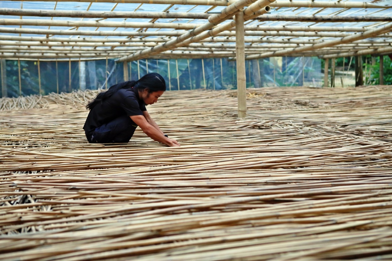 “Hà ống hút” và câu chuyện bảo vệ môi trường