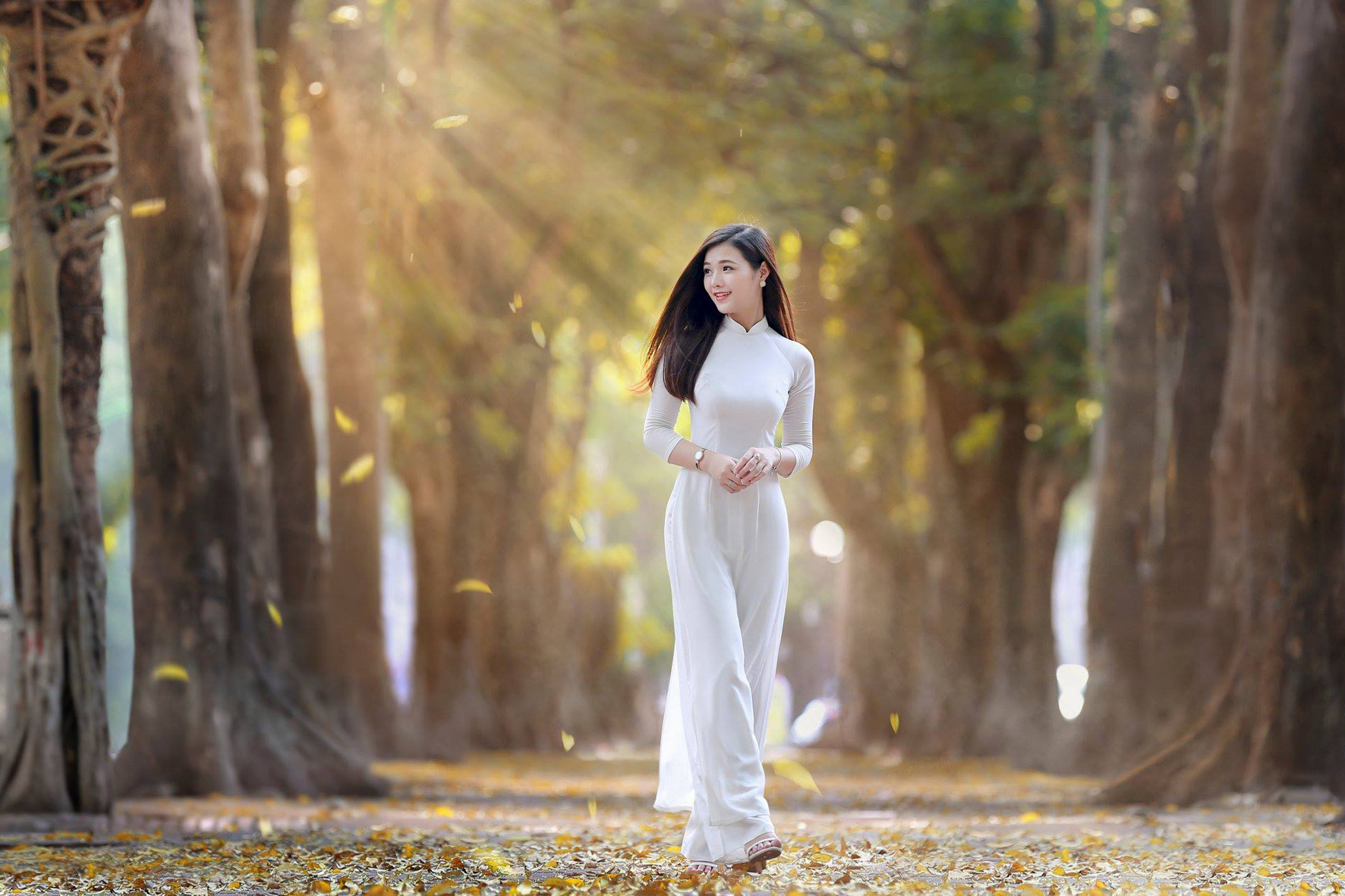 Đắm chìm vào nồng nàn hương vị phố Hà Nội