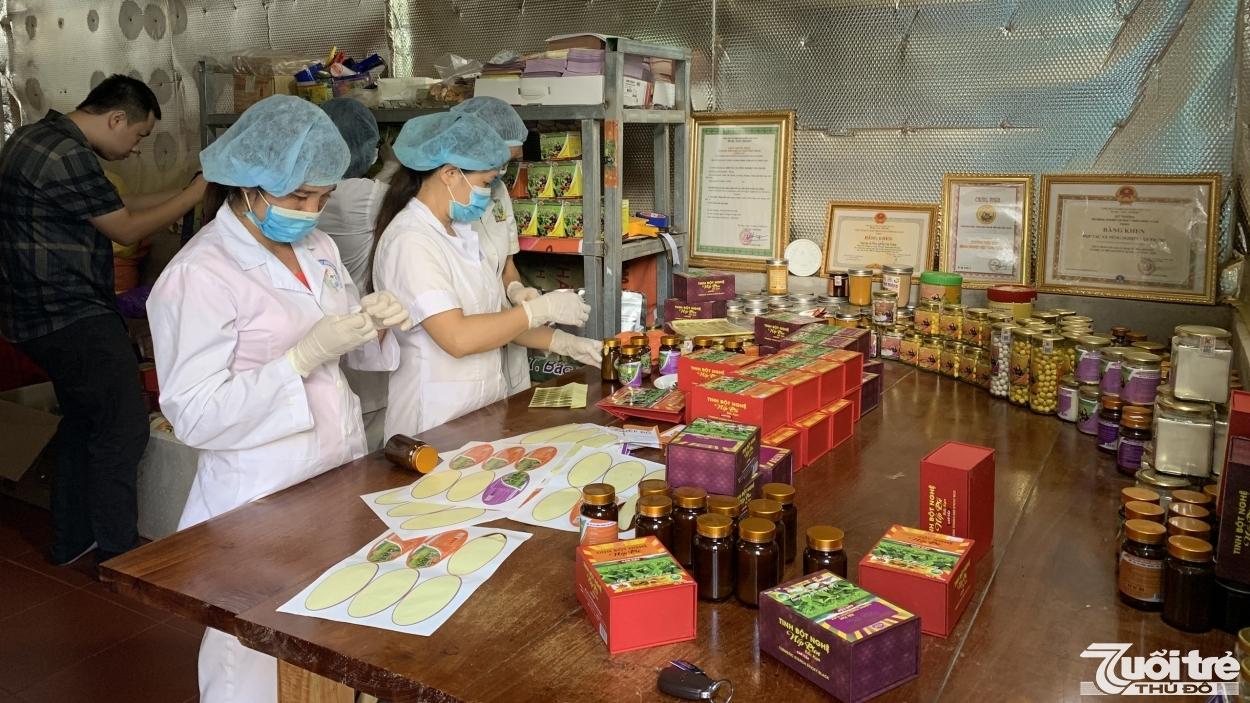 Tập trung giải quyết việc làm cho thanh niên nông thôn tỉnh Bắc Kạn