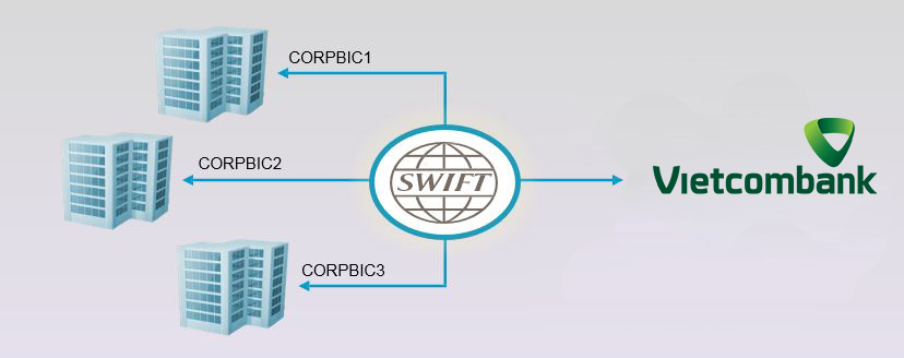  Dịch vụ chuyển tiền theo điện SWIFT MT 101 của Vietcombank là giải pháp quản lý vốn hiệu quả cho các tập đoàn đa quốc gia