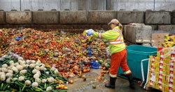 Lãng phí thực phẩm, vấn đề của toàn cầu