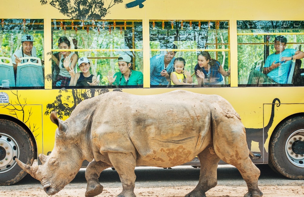 Tê giác trắng được chăm sóc và nhân giống bảo tồn nhờ phương pháp ghép đôi và phối giống tự nhiên