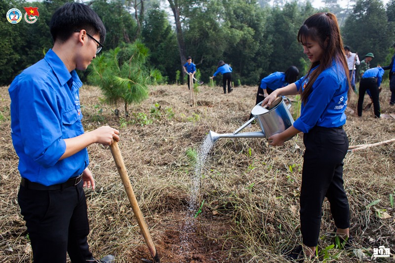 Cán bộ, đoàn viên trường Đại học Kinh tế quốc dân trồng cây xanh tại Khu di tích K9 - Đá Chông