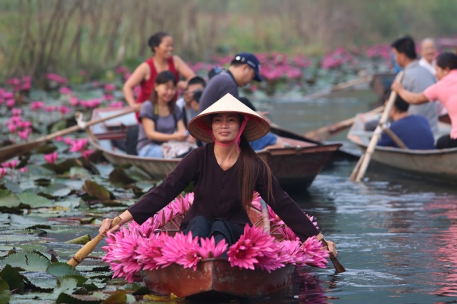 Suối Yến chùa Hương rực rỡ sắc hoa súng ảnh 3