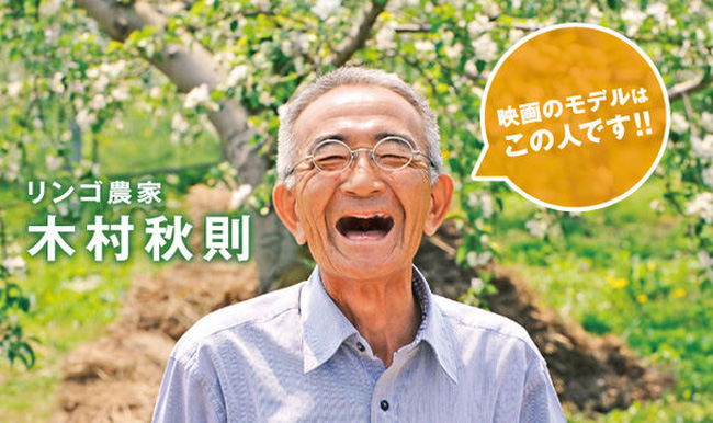 Nông dân Nhật trồng táo không thuốc trừ sâu, để 2 năm không hỏng
