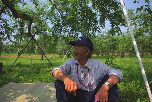 Nông dân Nhật trồng táo không thuốc trừ sâu, để 2 năm không hỏng