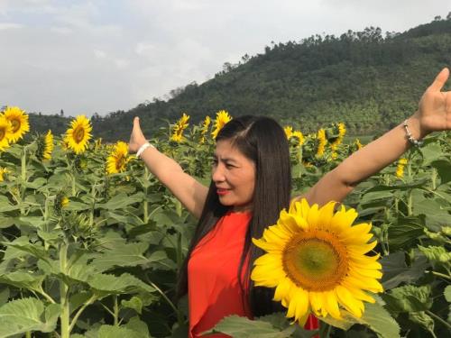 Nhiều du khách đổ xô đến cánh đồng hoa hướng dương ở Nghệ An