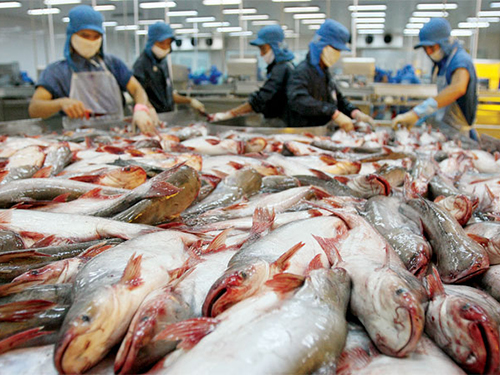 Hệ thống TRACES cấp chứng thư cho các lô hàng thủy sản Việt Nam xuất khẩu vào EU