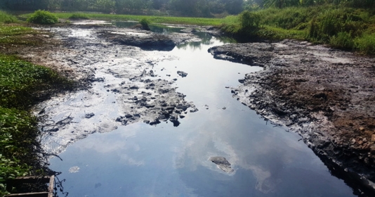 Sông Bắc Hưng Hải ô nhiễm trầm trọng