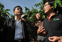 NESCAFE PLAN: Nâng cao năng suất, chất lượng, giá trị gia tăng cho hạt cà phê Việt