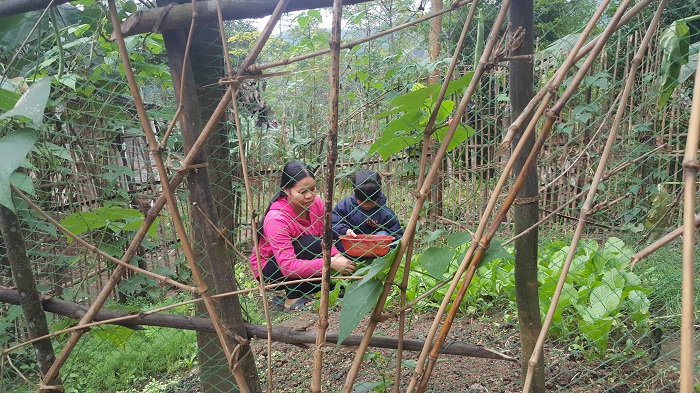 Ấm áp những tấm lòng “Bà mẹ xã hội”