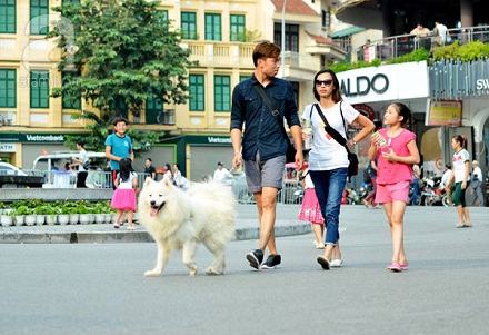 Bài 178: Nuôi động vật trong thành phố và những hệ lụy